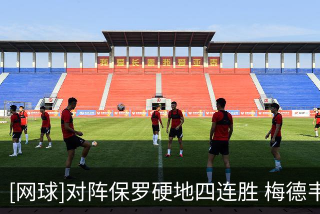 [网球]对阵保罗硬地四连胜 梅德韦杰夫闯进四强